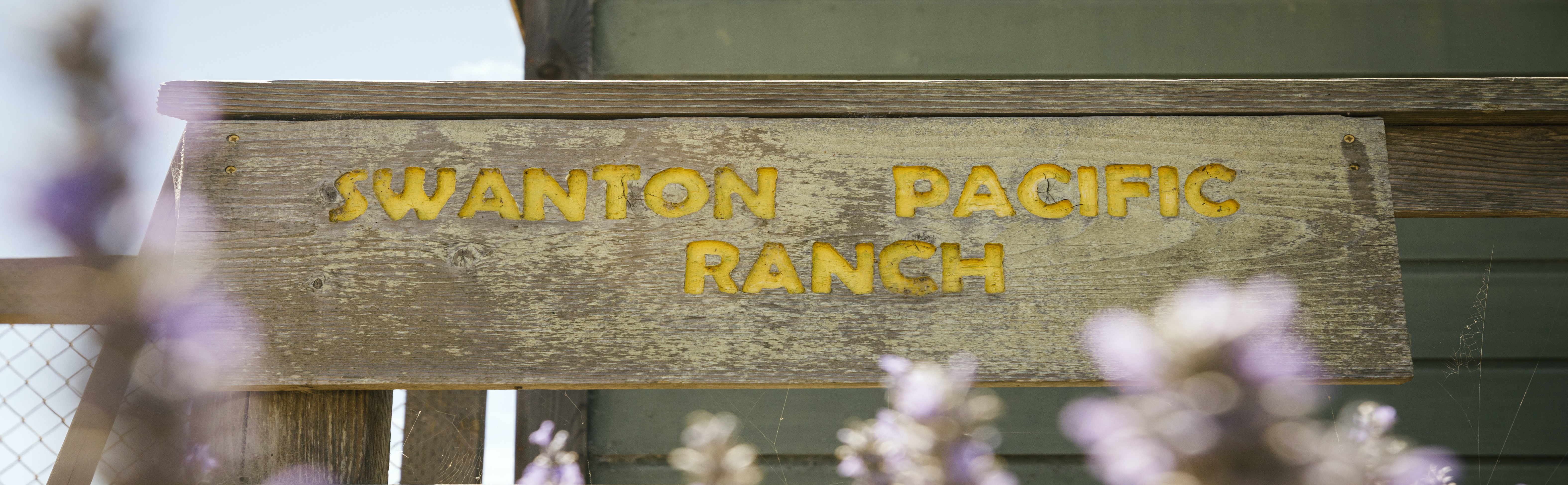 Swanton Pacific Ranch