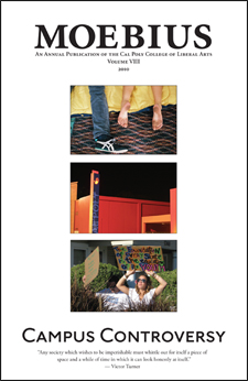 issue_art.gif issue_art